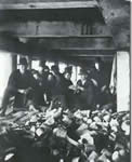 The Short Tail Gang, about 1889, under pier at foot of Jackson St., later Corlears Hook Park