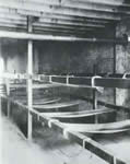 Bunks in a sevent-cent lodging-house, Pell Street
