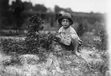 Boy picking berries near Baltimore, Maryland, 6/8/1909