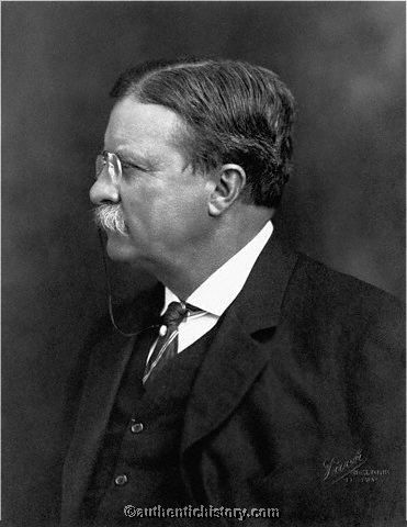 Theodore Roosevelt, 1913