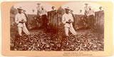 Stereoview: Spanish Cemetery in Cuba