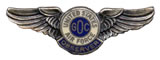 Ground Observer Corps Air Force Pin