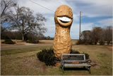 Giant smiling peanut used at a rally (modern view)