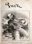 "Struck Down at the Post of Duty," Puck, July 6, 1881