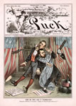 "How Do They Like It Themselves?", Puck, February 11, 1885