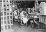 Girl working in box factory, Tampa, FL, 1/28/1909
