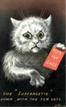 Postcard: "The Suffragette--'down with the tom cats'"