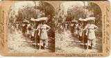 Stereoview: Coffee Pickers, French West Indies, c.1899