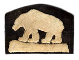 Polar Bear Expedition Uniform Patch