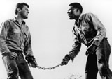 Sidney Poitier & Tony Curtis in The Defiant Ones (1958)
