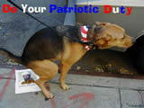 Do Your Patriotic Duty