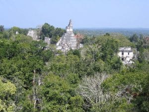 Tikal, Guatemala, rising out of the rainforest. By Peter Anderson (own work) [CC BY SA 2.5], via Wikimedia Commons