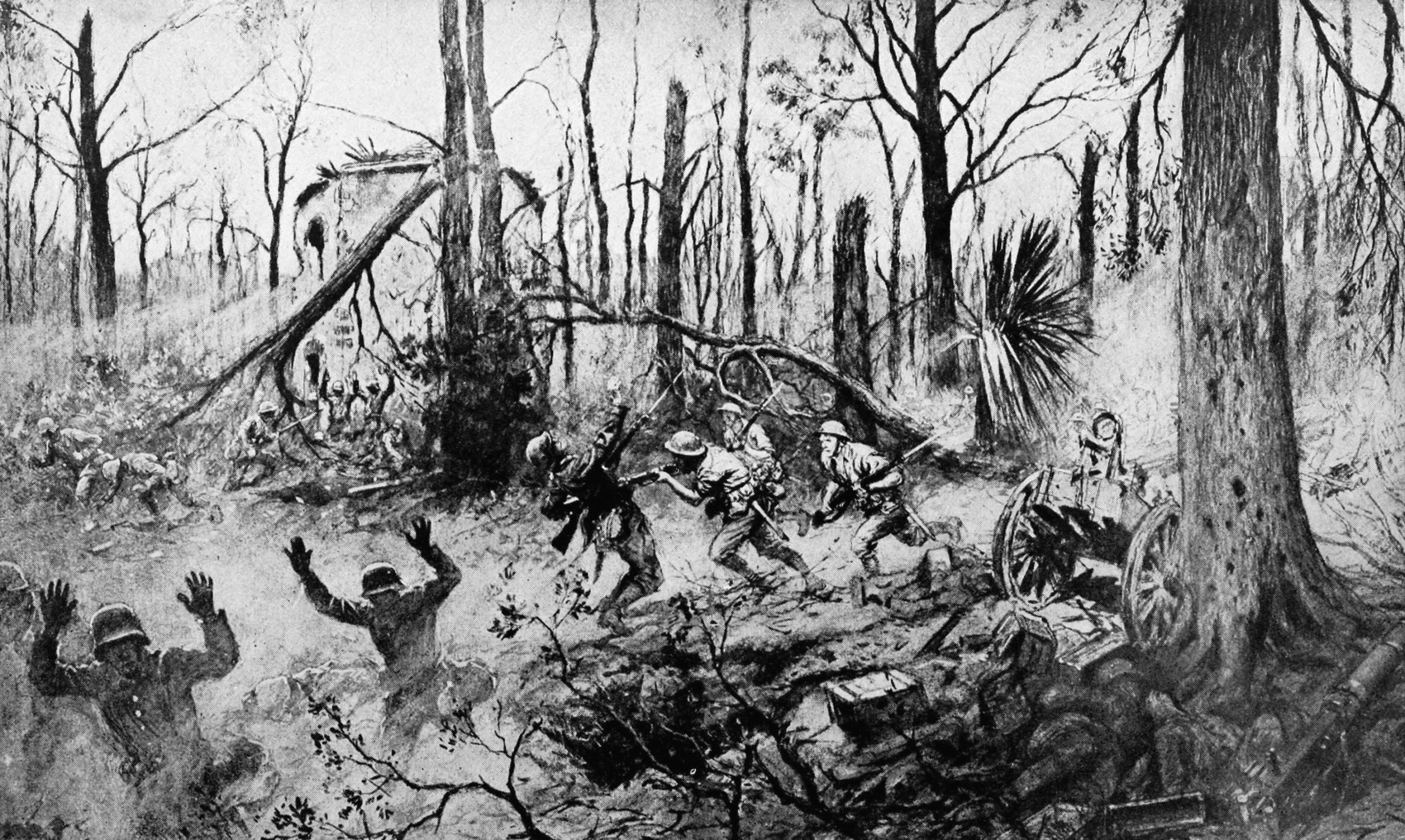 Battle of Belleau Wood - History