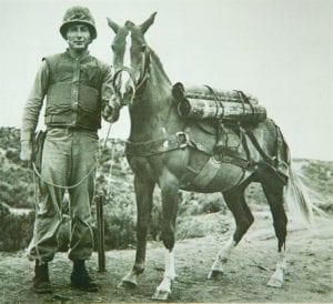 sgt reckless